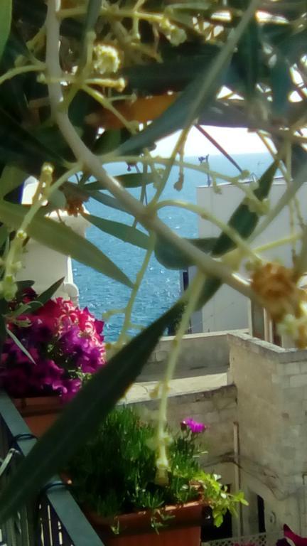 Tra Le Mura بولينيانو آ ماري المظهر الخارجي الصورة