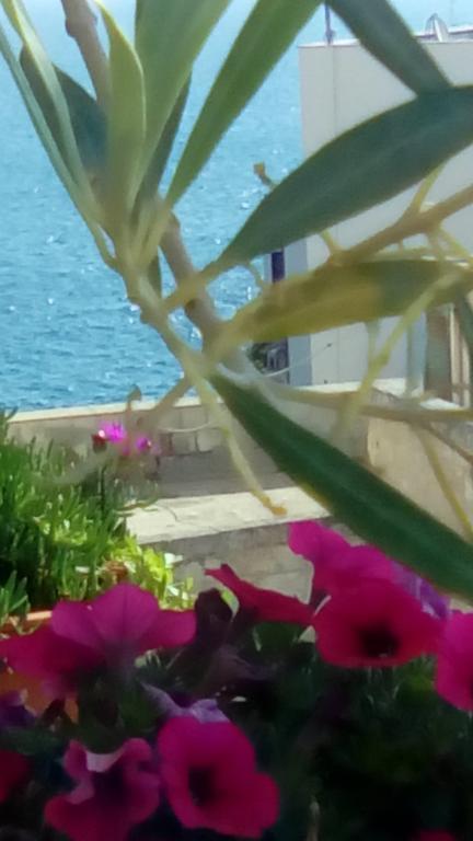 Tra Le Mura بولينيانو آ ماري المظهر الخارجي الصورة